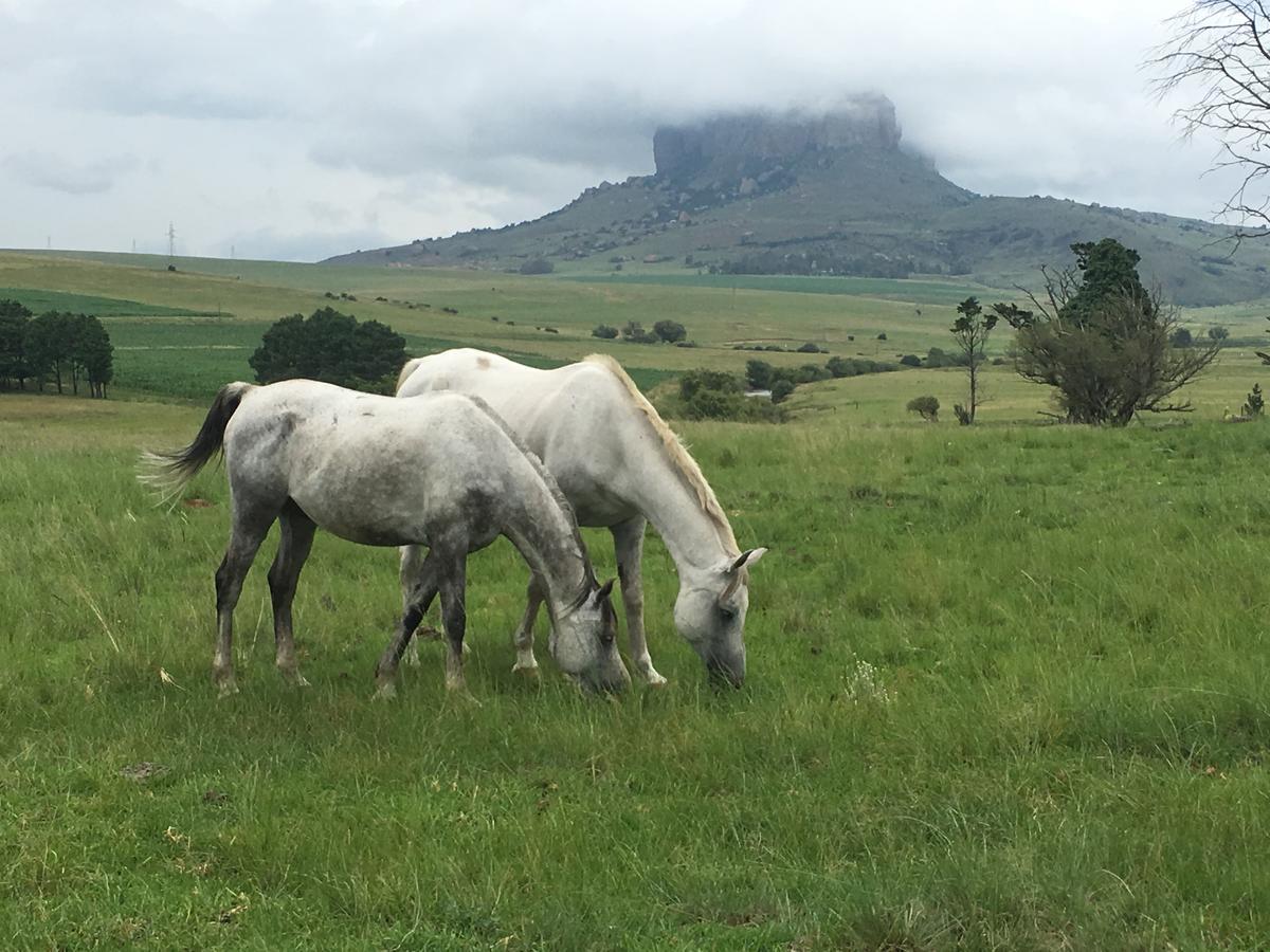 Riverview Country Inn Van Reenen Esterno foto
